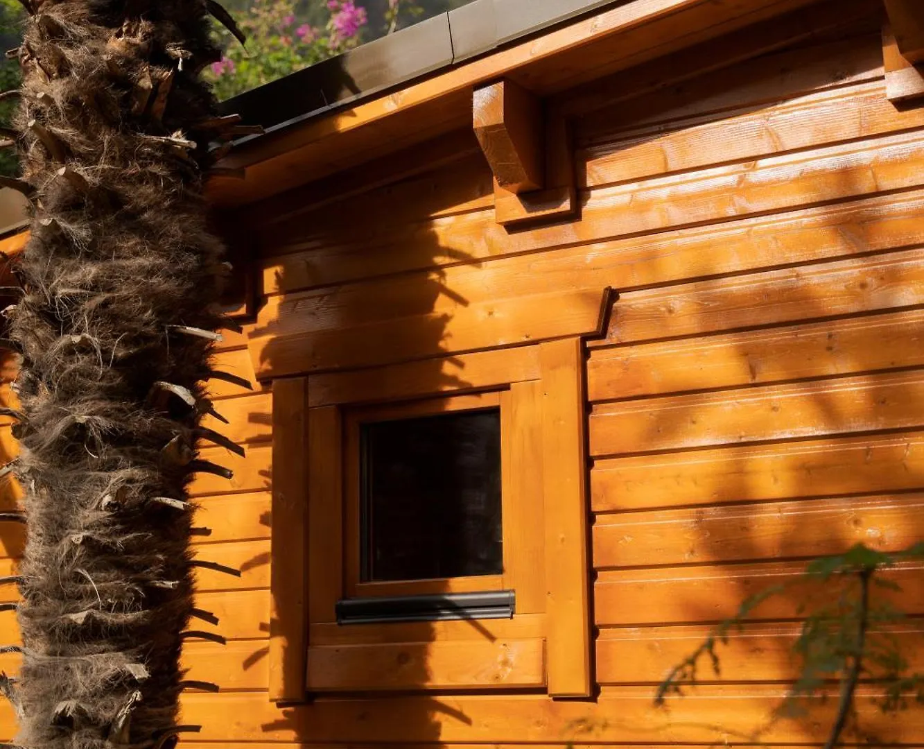 Garden Bungalow São Vicente Portugal