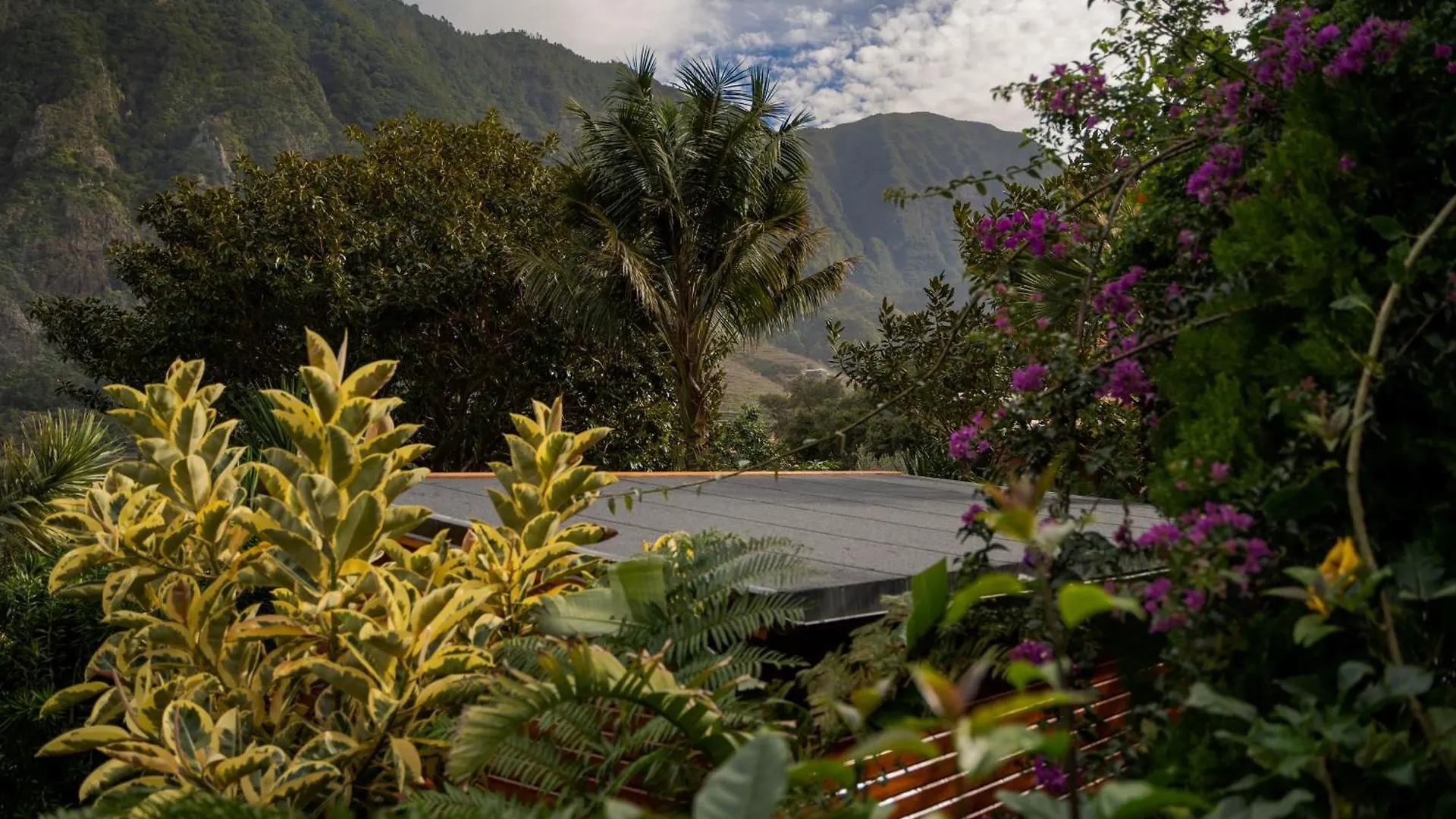 Garden Bungalow São Vicente Chalet