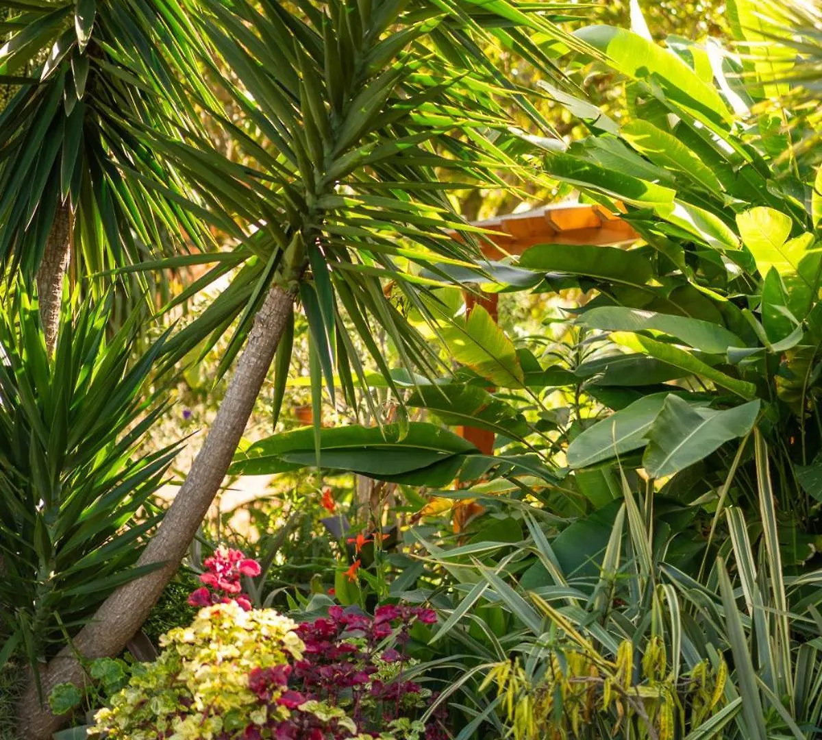 Garden Bungalow São Vicente